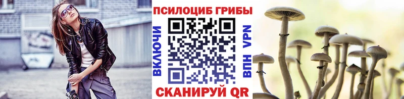 купить закладку Щёлково Псилоцибиновые грибы Psilocybine cubensis